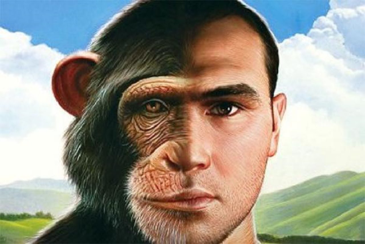Кто и как скрещивал обезьяну с человеком