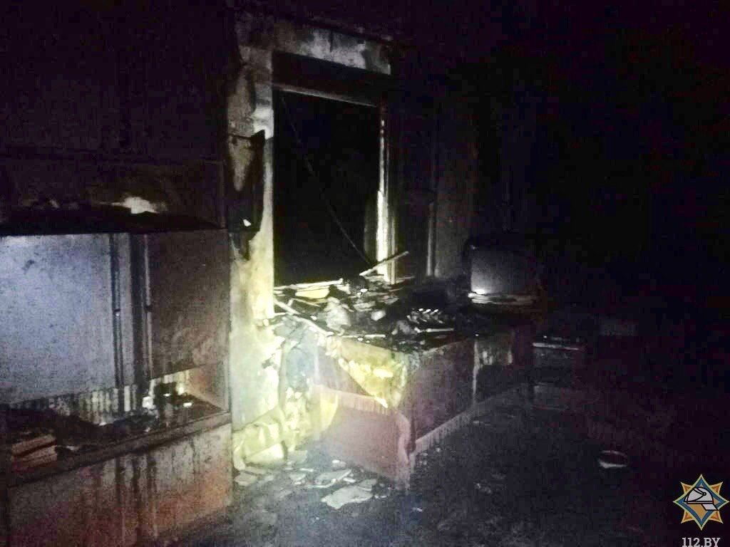 Пожар в Мозырском районе