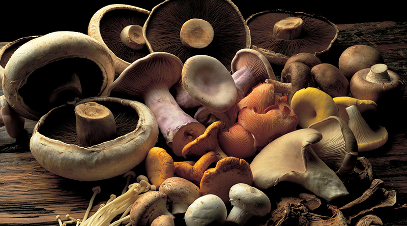 отравились грибами