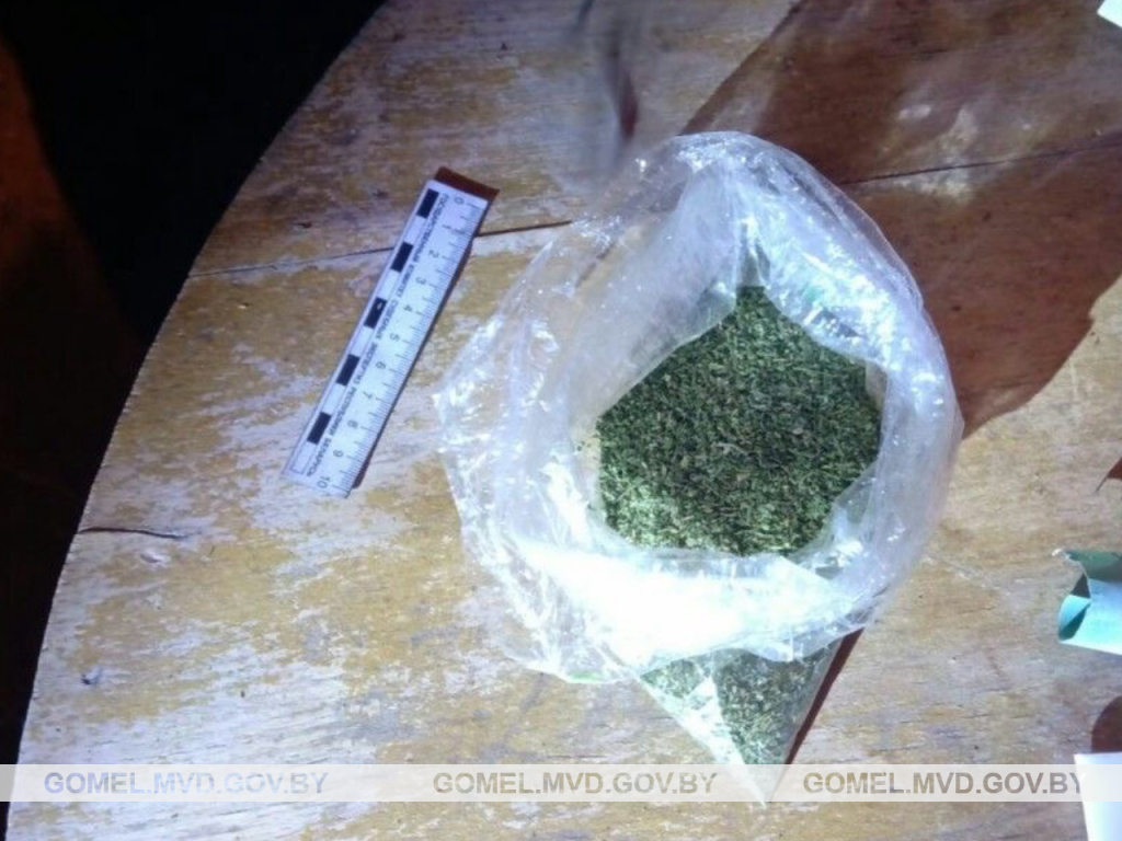 Бойцы наркоконтроля изъяли у двух мозырян более 65 грамм марихуаны