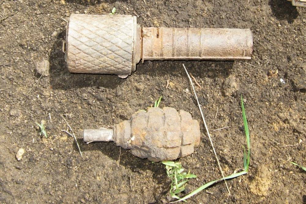 В лесу под Речицей нашли гранаты времён ВОВ