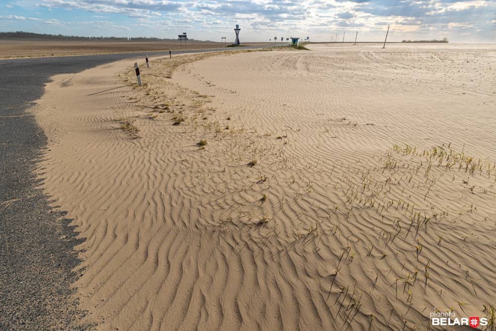 Минприроды объяснило почему на Гомельщине появились дюны и песчаные бури