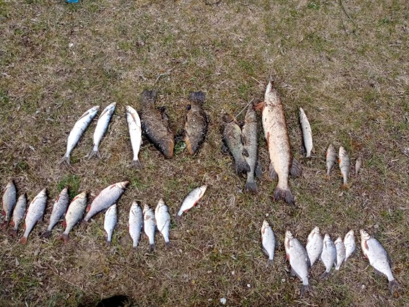 У браконьеров в Жлобинском районе отобрали лодку, сети и улов