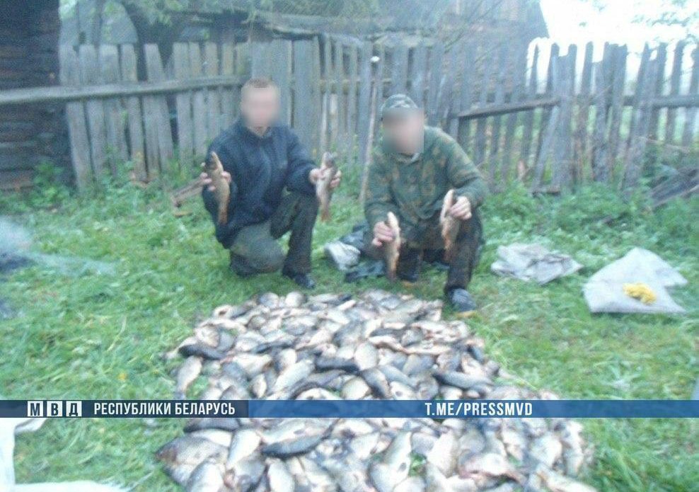В Житковичском районе задержали троих хулиганов-браконьеров