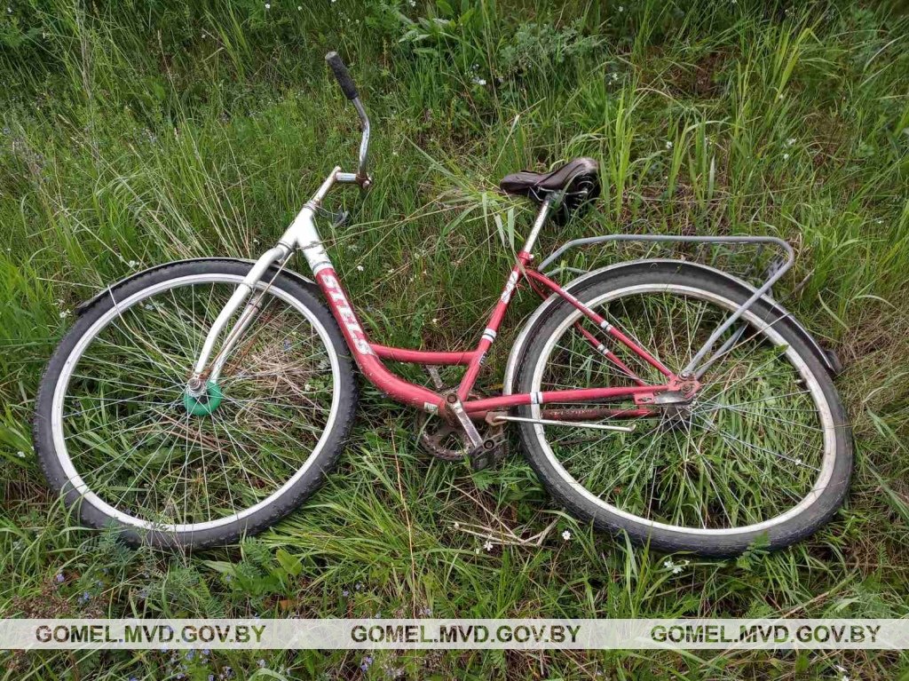 Велосипедист погиб под колесами микроавтобуса в Рогачевском районе