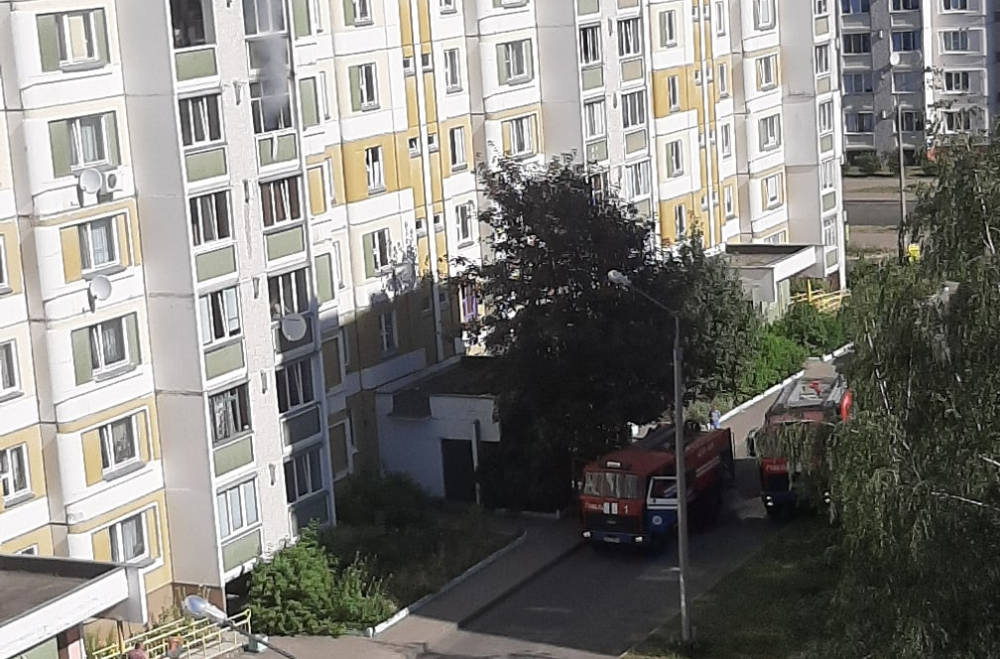 Соседи в Гомеле спасли из пожара двух малышей