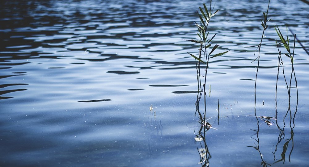На Гомельщине в реке Припять утонул еще один мужчина