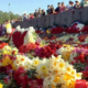 Майские события в Латвии уже называют русской «цветочной революцией»