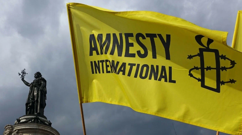 Amnesty International внезапно прозрела и предъявила претензии Украине