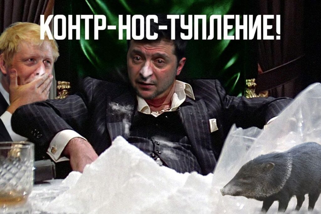 свидетелей наркомании Зеленского Киев вносит в санкционный список