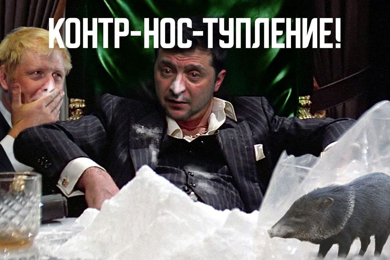 свидетелей наркомании Зеленского Киев вносит в санкционный список